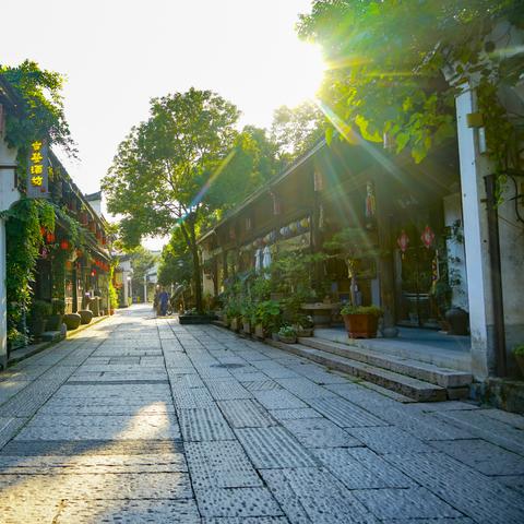 住宿记录查询,掌握住宿记录，轻松管理您的旅行生活