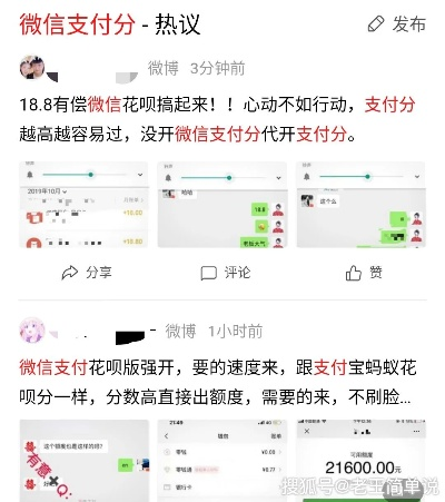 解读微信分付怎么套出来,微信分付怎么套出来，实用技巧全解析