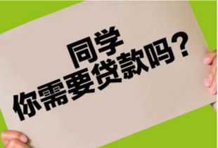 羊小咩贷款如何套现,羊小咩贷款套现真相揭秘，风险警示与合规操作指南