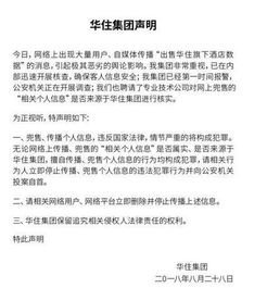 全国查开房记录,全国查开房记录，隐私保护与公共安全的双重挑战