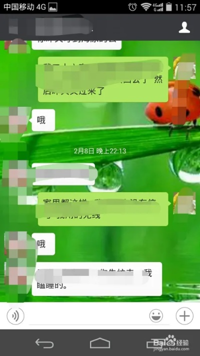 怎样查看微信里好友的聊天记录,微信好友聊天记录查询技巧全攻略