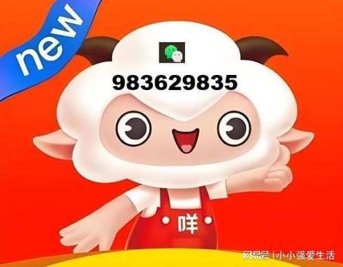 羊小咩享花卡找商家兑现全攻略 羊小咩享花卡找商家兑现全攻略——新手也能轻松操作