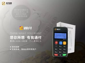 手机版POS机申请全攻略，流程、要点与案例详解