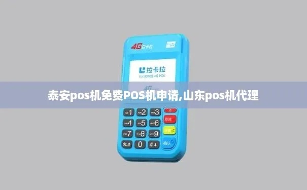 泰安市POS机申请全攻略，申请流程、条件及案例解析