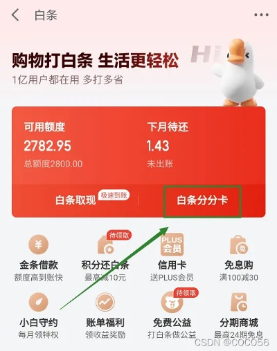 白条提现和免费额度含义 白条提现大揭秘，免费额度背后的秘密与使用指南